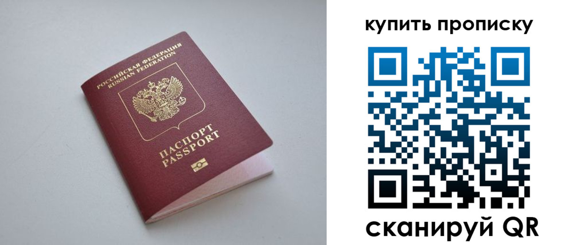 купить прописку в Курской области