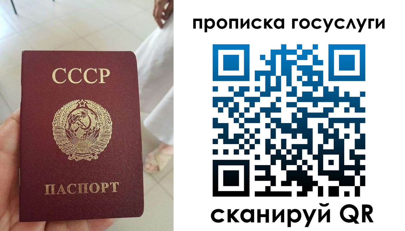 временная регистрация поиск в Курской области